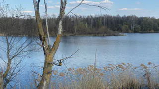 Два моста в Спасском районе Рязани закрыты для авто и пешеходов