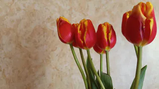 Эксперты рассказали о самых необычных подарки жительницам Коми