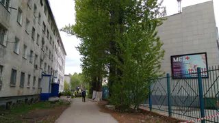 Рязанцы обсуждают, нужно ли вырубать тополя