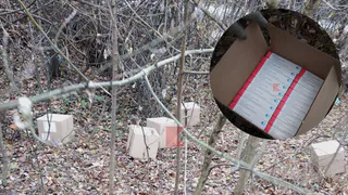 Кажется, мы узнали причину дефицита вакцин от гриппа: целая партия рязанского препарата оказалась разбросана в лесу