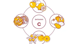 Во Всемирный день витамина С владимирские эксперты рассказали о его защитной силе