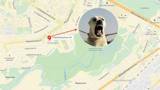 История очевидца: Крупный кобель азиатской овчарки держит в страхе целый район