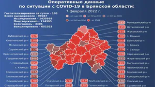 За сутки от коронавируса в Брянской области умерли пять человек
