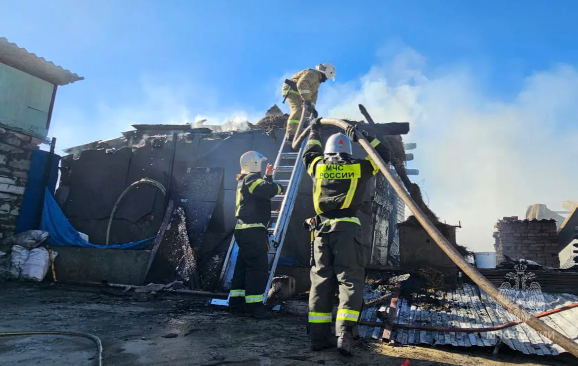 При пожарах в Пензенской области погибли 87 человек в 2024 году