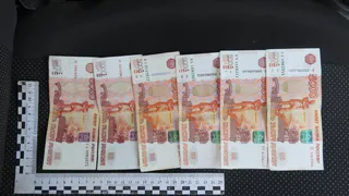 Столичный бизнесмен осужден в Петушках за попытку подкупа полицейских