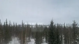 Синоптики рассказали, какой будет погода в Усинске и Коми 9 декабря