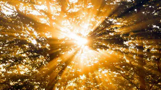 Синоптики поделились, когда в Челябинской области ждать метеорологическое лето