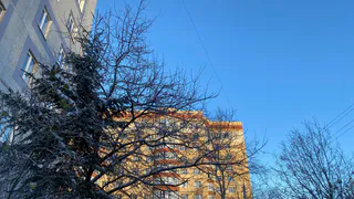 11 ноября в Коми сохранятся контрасты: на северо-востоке ударят морозы до -21°C, пока юг региона держится около 0°C