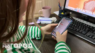 В Коми внучка "обокрала" дедушку на 168 тысяч рублей из-за онлайн-игры