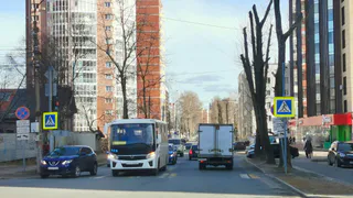 Верховный Суд поставил окончательную точку: нужно ли ждать, пока пешеход перейдет дорогу полностью, или можно ехать сразу