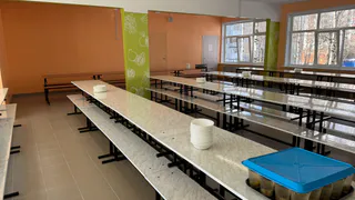 В Коми частично отменили карантин по сальмонеллезу