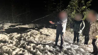 В Гусь-Хрустальном задержан подозреваемый в убийстве участника боевых действий мужчина