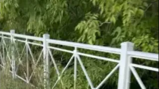 В Рязани обнаружена нора местных одиночных извращенцев