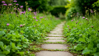 Сорняки на дорожках больше не вернутся. Фермер дал совет, который я опробовал на 25 сотках — работает