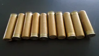 Брянские таможенники нашли у украинца охотничьи патроны