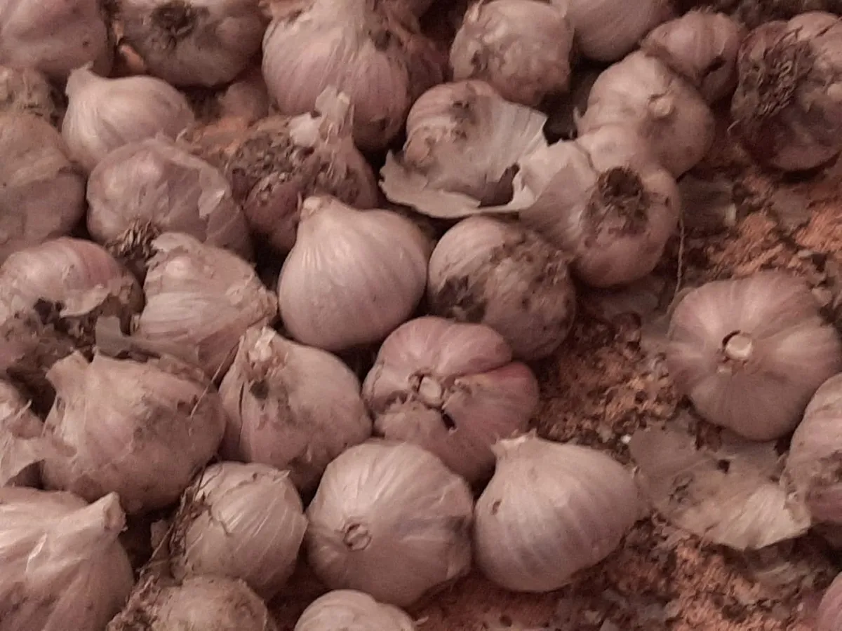 5 специй, которые стоит есть каждый день