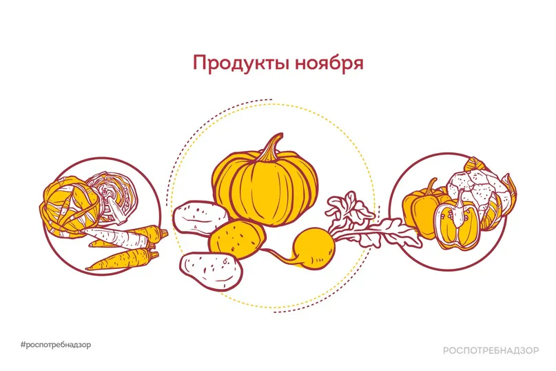 Что включить в свой рацион в ноябре?