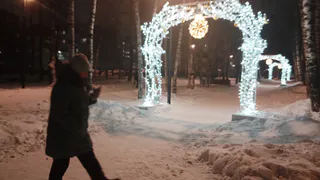 Житель Челябинской области по пути домой украл Снегурочку