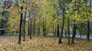 Сервисом «Выезд на охоту в Пензенской области» воспользовались более 5 000 человек