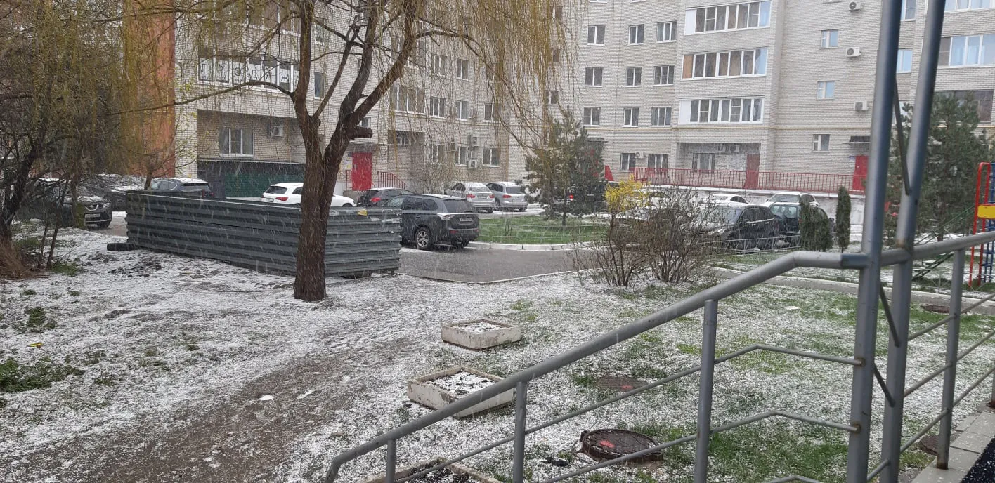 Рассада зачахнет на подоконниках. Что ждет дачников и садоводов после апрельских снегопадов - прогноз синоптиков