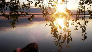 Конкурс летних пейзажей: продолжаем голосовать за лучшее фото