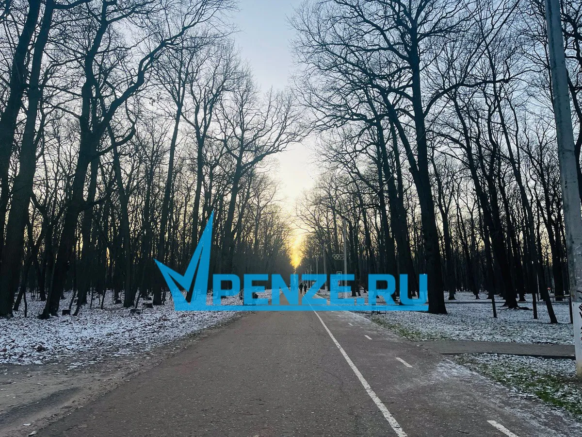 Жителей Пензы приглашают на лыжную гонку