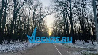 Жителей Пензы приглашают на лыжную гонку