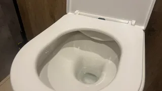 Рюмку в унитаз на ночь — к утру выгребная яма чиста: выливаем раз в месяц — и забываем об откачке на 10 лет