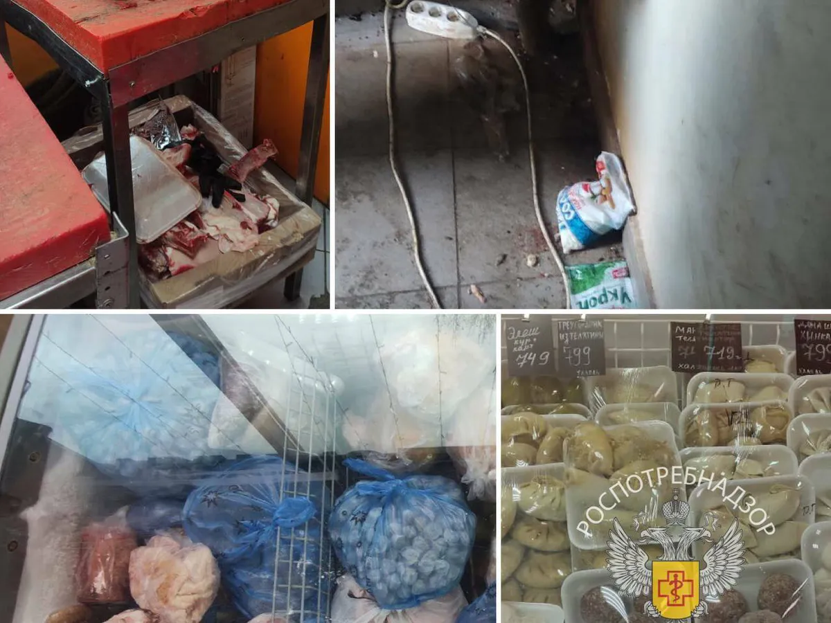 В Казани из-за несоблюдения норм санитарии закрыли мясной магазин