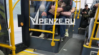 В Пензе водитель троллейбуса обматерил пассажирку, за что получил выговор