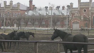 Старожиловский конезавод может быть включен в список всемирного наследия ЮНЕСКО