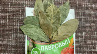 Перед уборкой обязательно кипячу лавровый лист по совету свекрови - лучший бытовой лайфхак из моей копилки