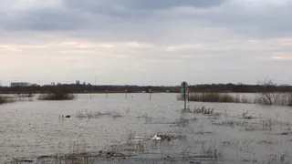 В Рязани ожидается уровень подъема воды в Оке выше 620 см