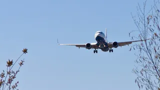 Тестирование не нужно: Роспотребнадзор изменил правила въезда россиян из-за рубежа