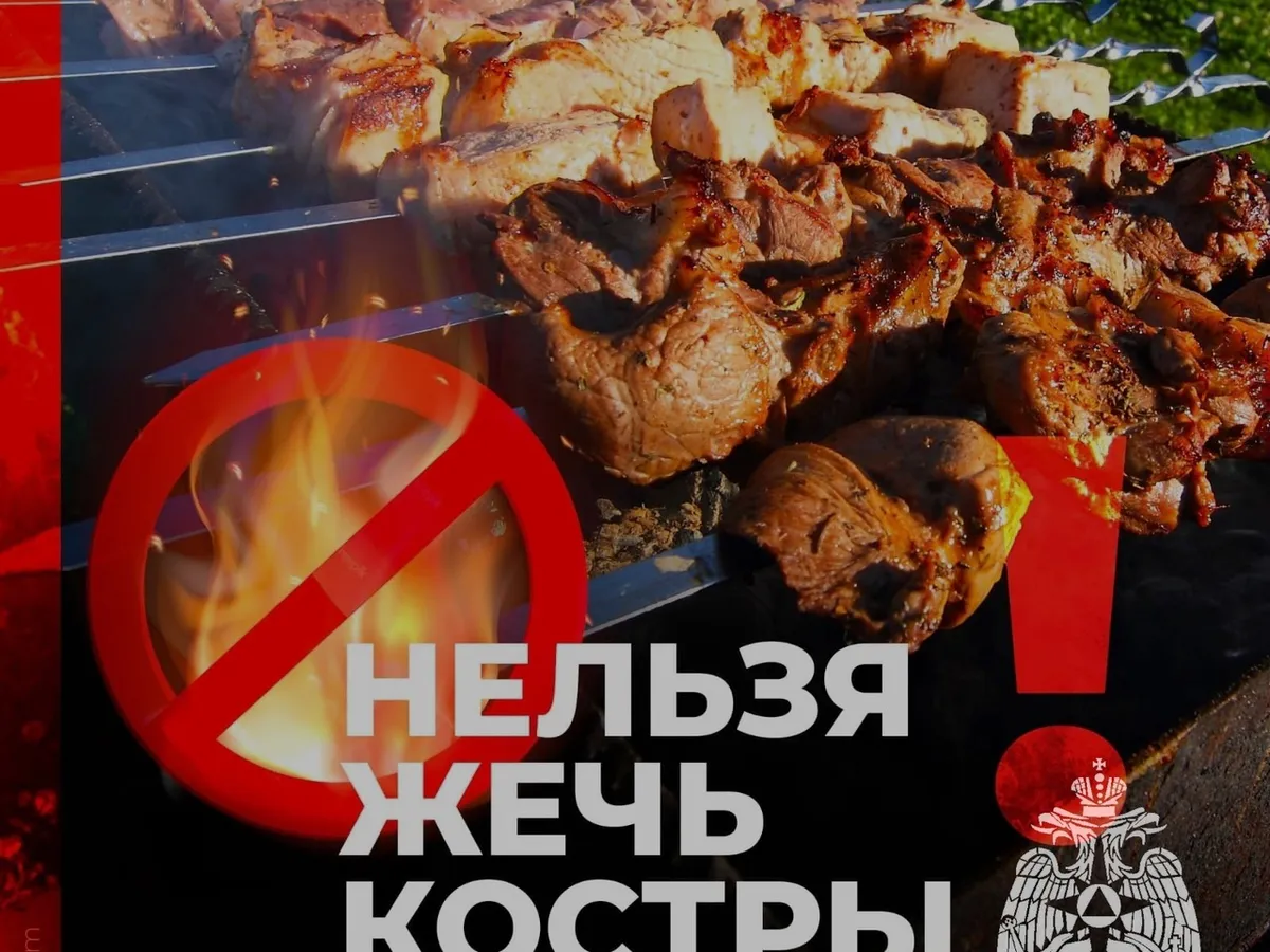 В МЧС сообщили, где в Нижнекамске высока угроза возникновения лесных пожаров