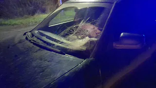 В Касимове сбили пешехода: подробности ДТП