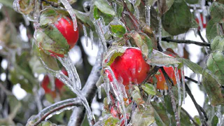 В Рязани резко похолодает