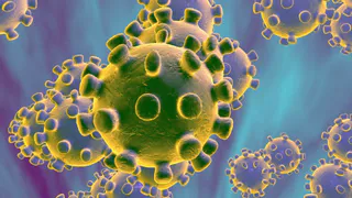Стало известно, кто не заразится коронавирусом