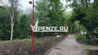 Аллея Красных Фонарей: пензенцы дали новое название Тропе здоровья после капремонта