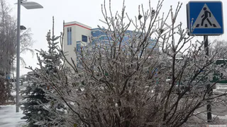 В Рязанской области 8 марта ожидается -11°С