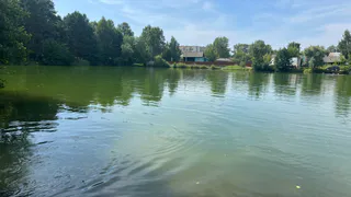 Более 3 миллионов рублей направят на реабилитацию каскада прудов в Дашково-Песочне