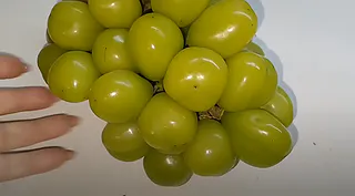 Премиум-вкус или развод покупателей: стоит ли брать большой пластиковый виноград, который появился в магазинах