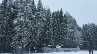 21 января в Коми ожидаются сильные морозы