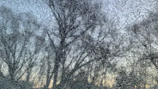 Уже сменили резину? Ночью в Рязани будет до -7