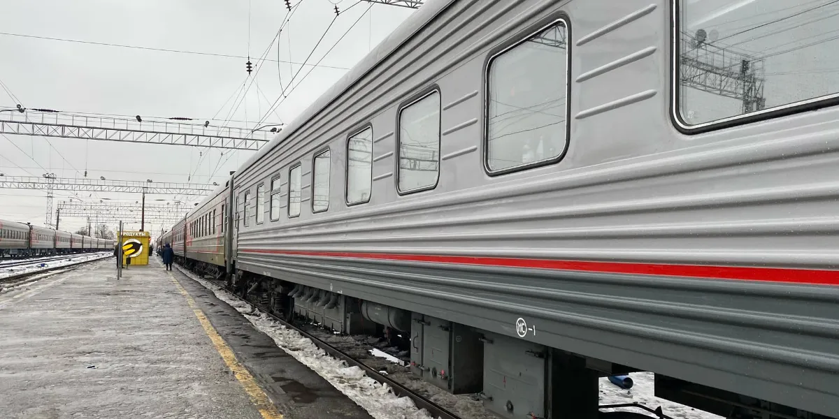 В Рязанской области на железной дороге погибла пенсионерка