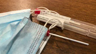 Высокий спрос: экспресс-тесты на COVID-19 из России будут продавать за рубежом