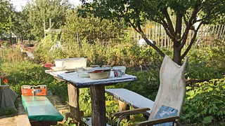 Дачники кипят от злости и ярости: в марте на участках начнут сносить заборы