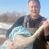 Уставший краснокнижный лебедь рухнул на ферму в Татарстане
