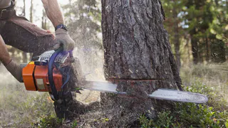 Дачник? Хватит работать с бензином, это устарело