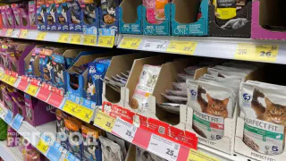 "Не вздумайте брать": в премиальном корме для животных нашли яд